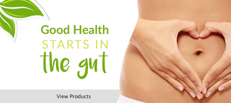 Gut and Digestion Health